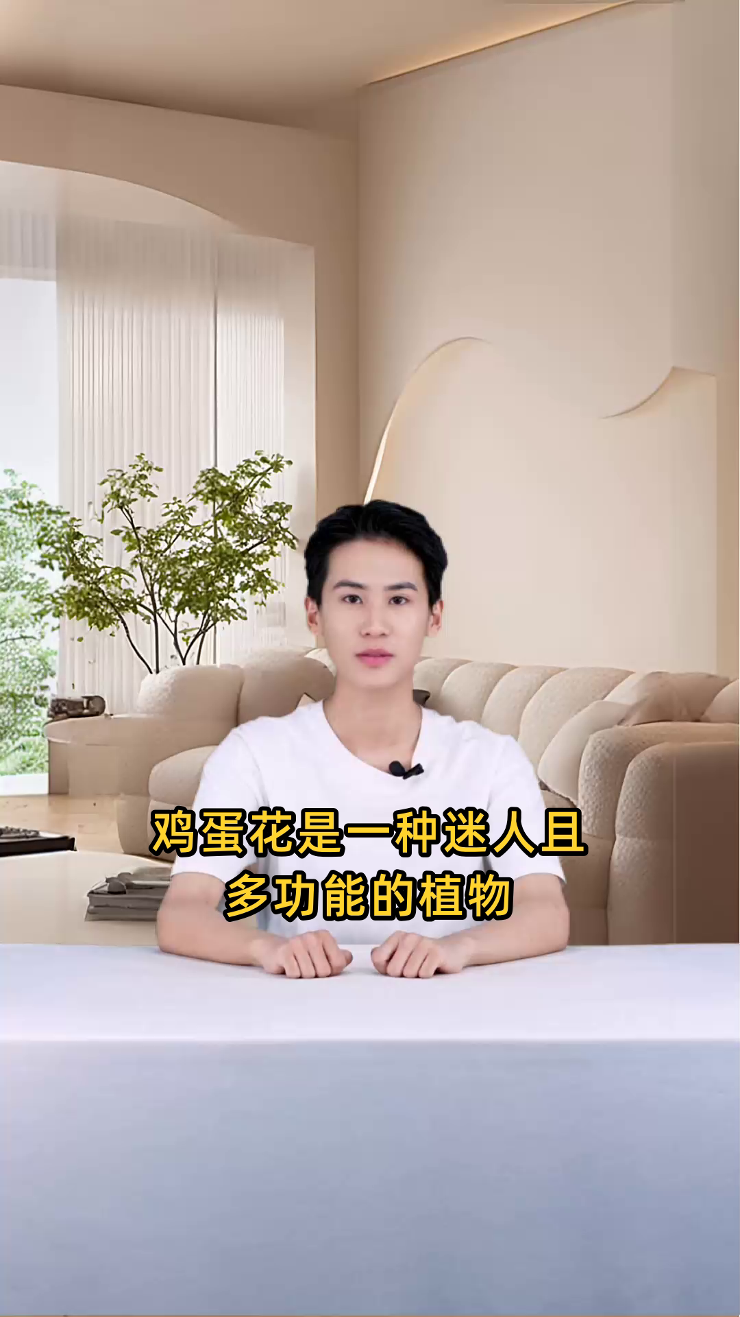鸡蛋花是一种落叶小乔木,属于夹竹桃科,原产于美洲,花色丰富美丽,具有观赏和药用价值