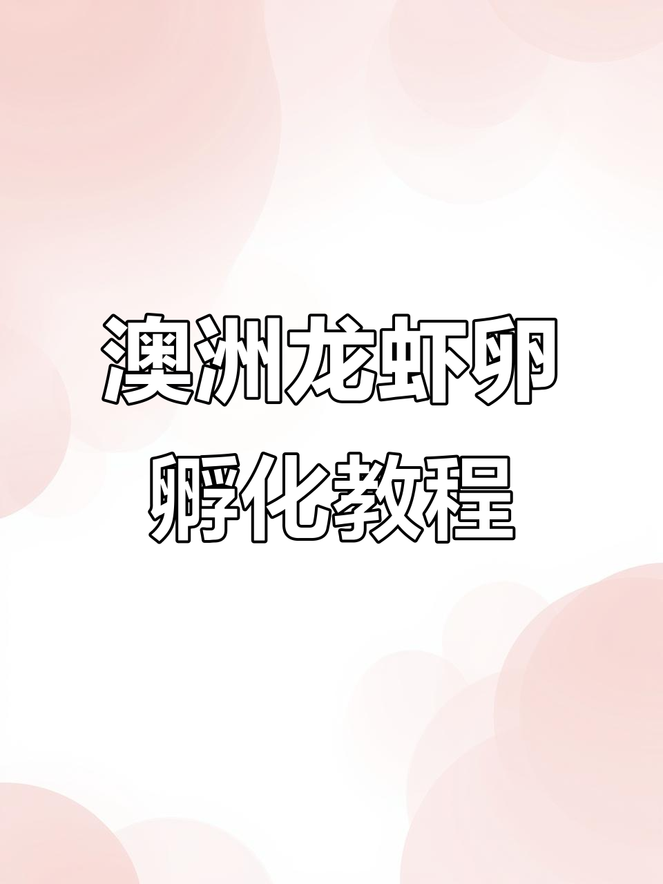 澳洲淡水龙虾卵孵化技巧大揭秘,轻松掌握离体操作