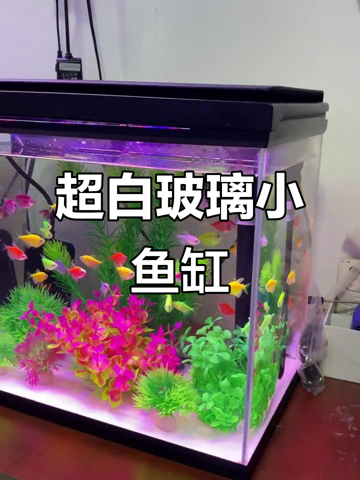 38升超白玻璃鱼缸，三合一过滤泵打造完美水族环境