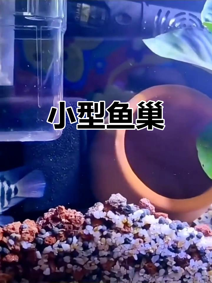 迷你虾屋,适合各种鱼类产卵与繁殖