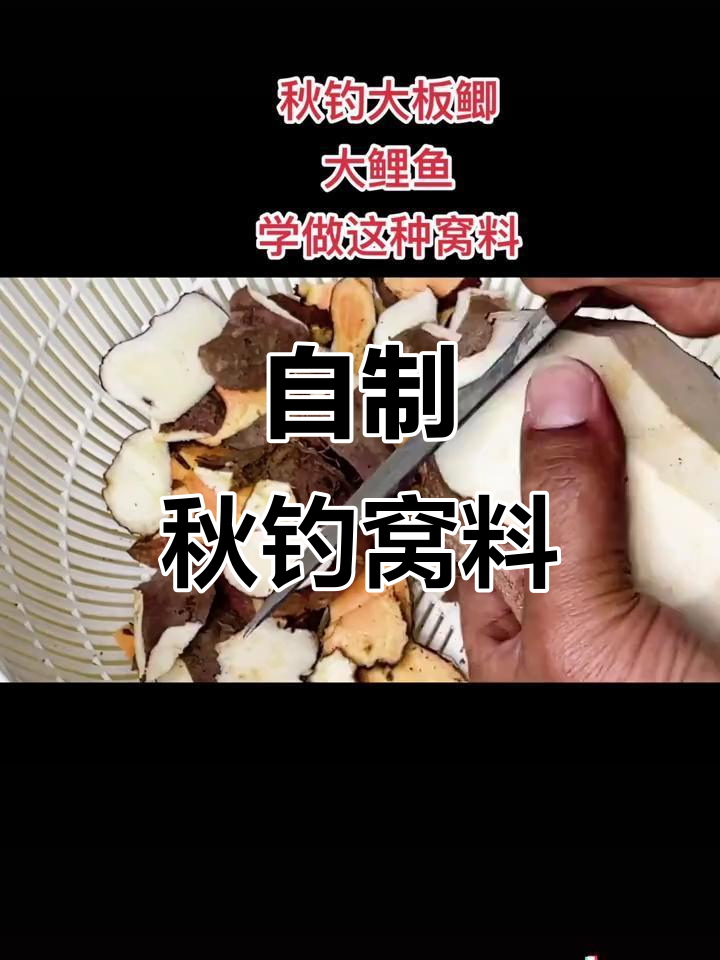 秋季钓大板鲫鲤鱼必备窝料,自制饵料轻松搞定
