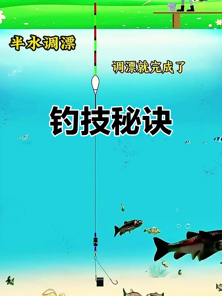 钓鱼高手必看:半水调漂技巧大揭秘!