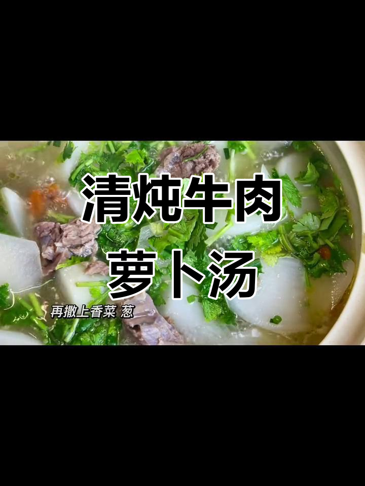 牛肉萝卜汤,暖心又美味,快来学做这道清炖美食!