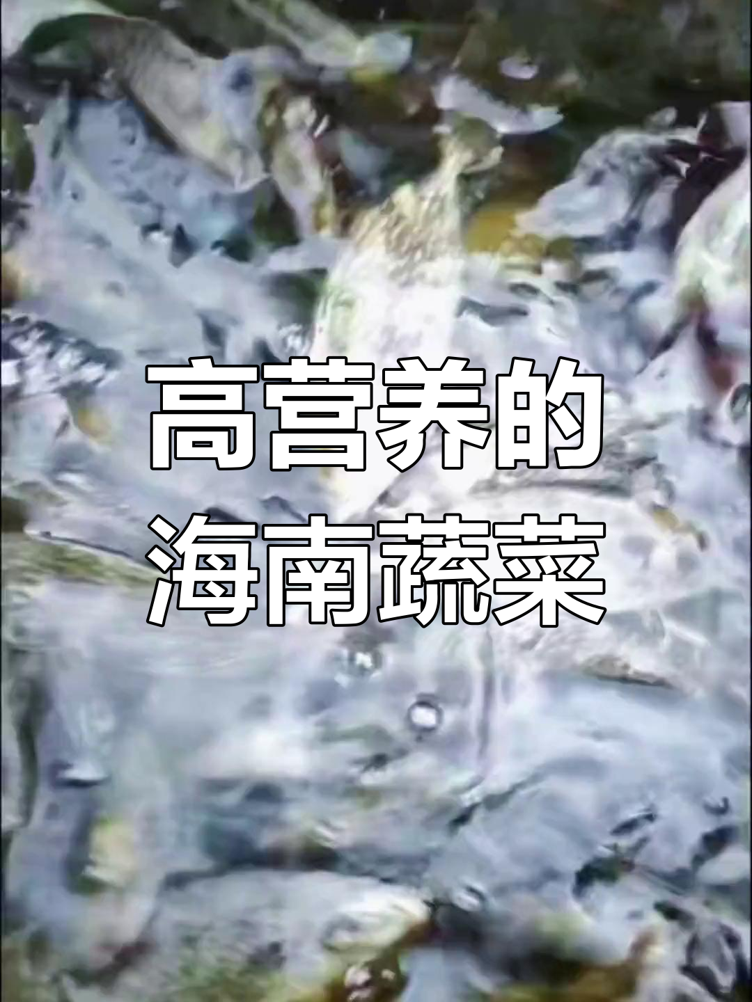 三亚罗曼语与元青菜的营养价值