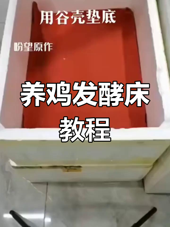 发酵床制作全攻略,轻松解决养鸡臭味问题