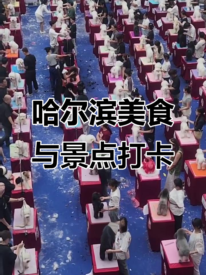哈尔滨面包与太阳岛之旅,探秘老鼎丰冰糕和脆巧泡芙