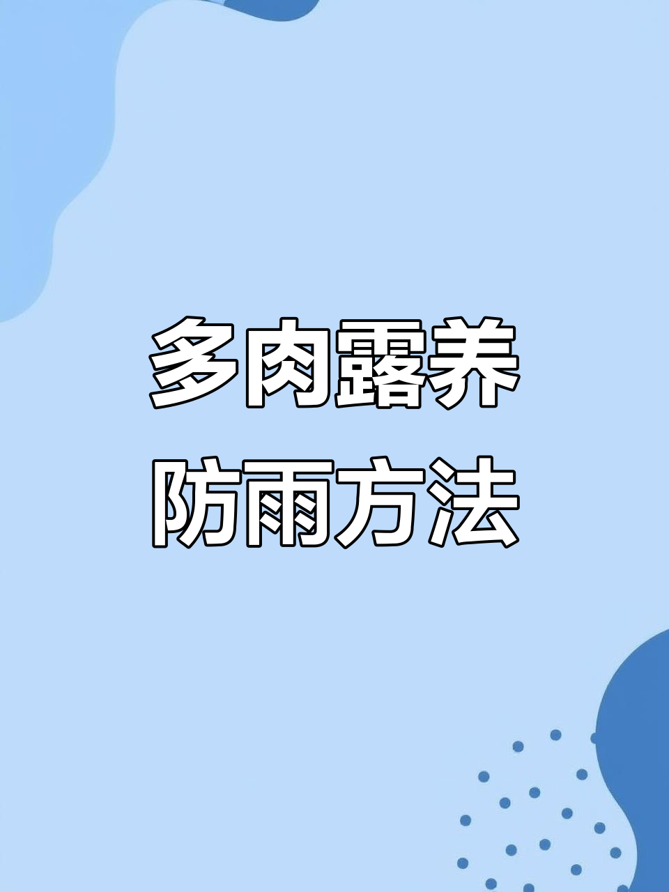 夏季多肉露养遮雨技巧,避免积水轻松保护