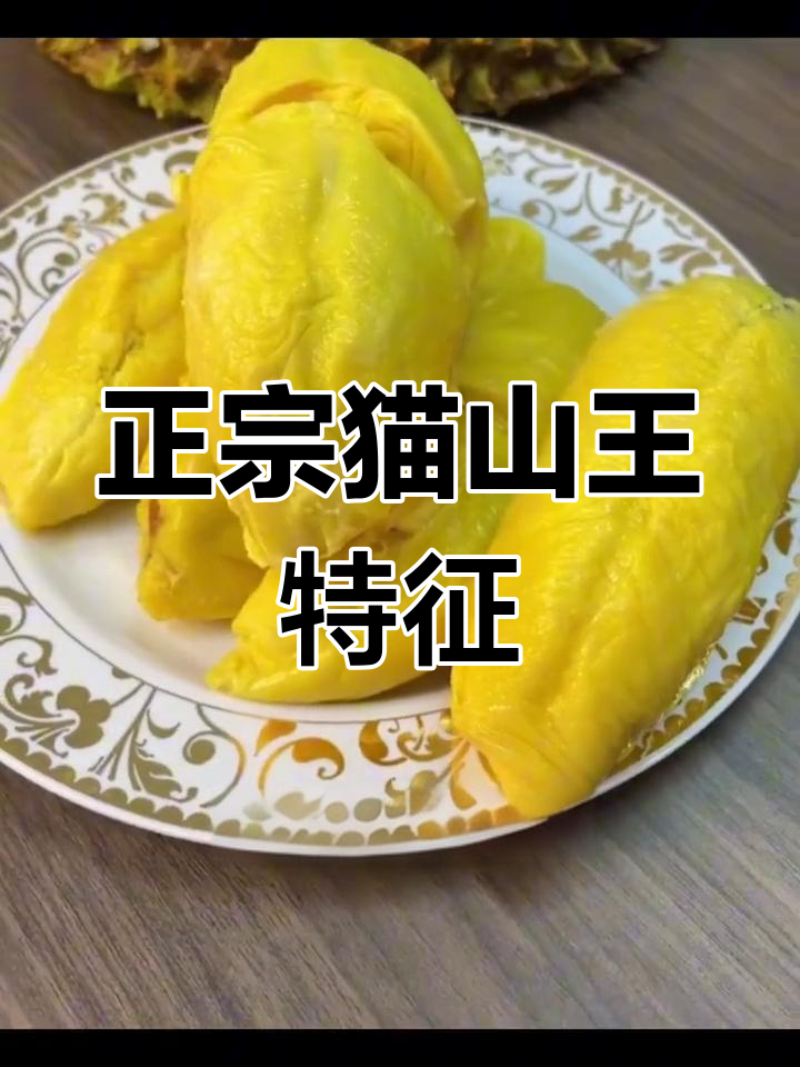 猫山王榴莲的独特之处:D197品种与雨滴型核