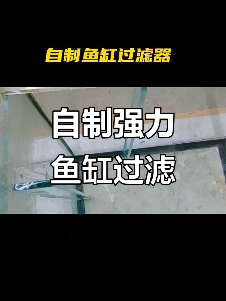 10元搞定鱼缸过滤器，简单步骤教你DIY