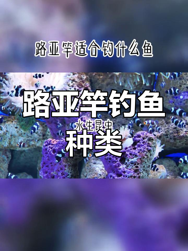 路亚竿适合钓哪些鱼