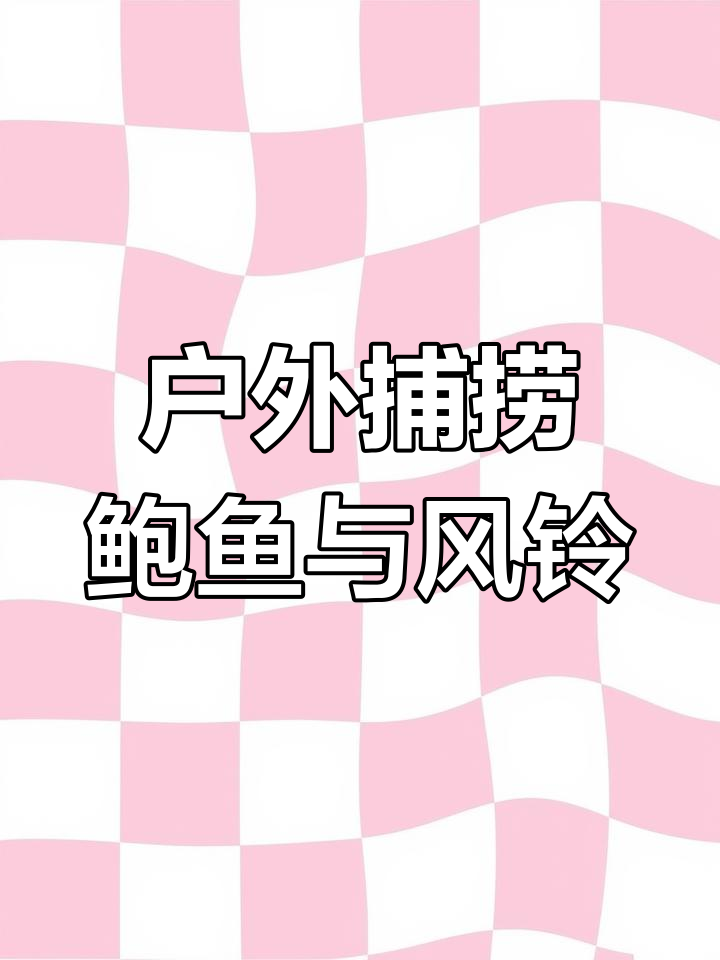 赶海抓海鲜,意外发现完美鲍鱼和独特壳饰