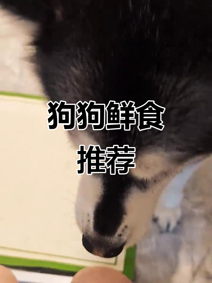 白菜肉卷，帮狗狗清泪痕、补水利尿，健康又美味！