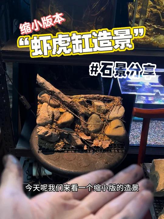 缩小版本“虾虎缸造景”