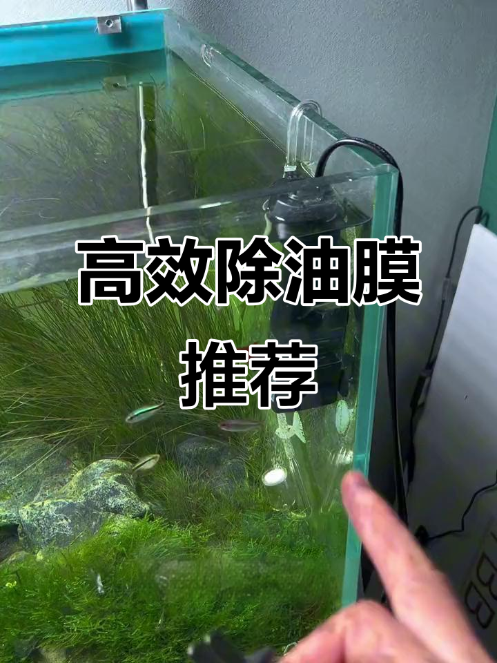 鱼缸除油膜神器,轻松解决水面问题