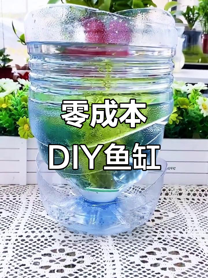 用废矿泉水瓶做鱼缸,简单又环保