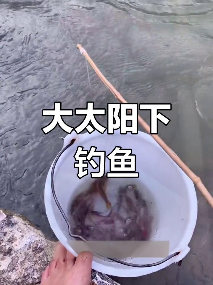 钓鱼趣事:大太阳下的挑战