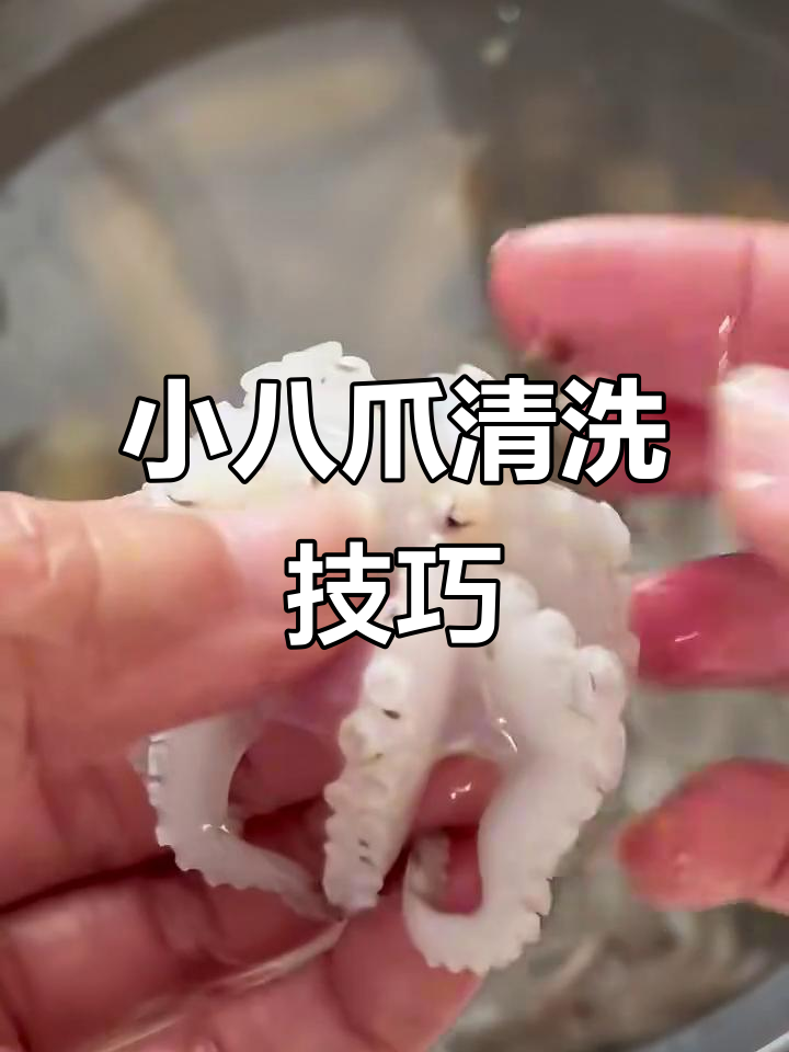 清理小八爪鱼,轻松去内脏和牙