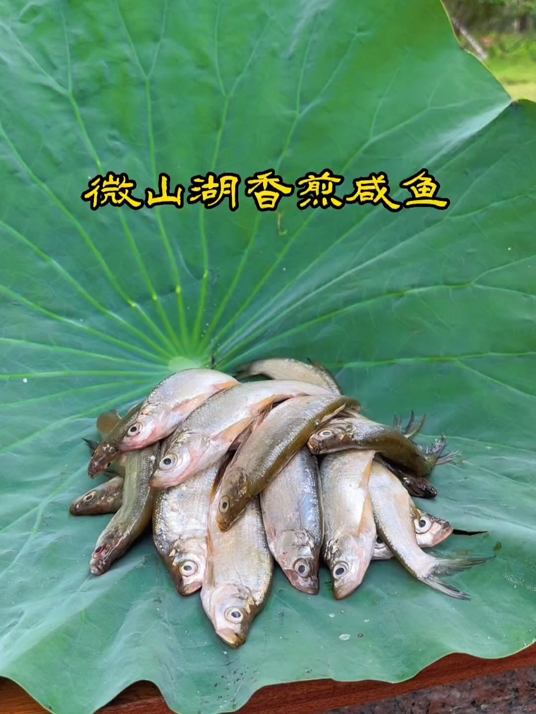 一口脆的煎咸鱼，你就吃吧，越嚼越香