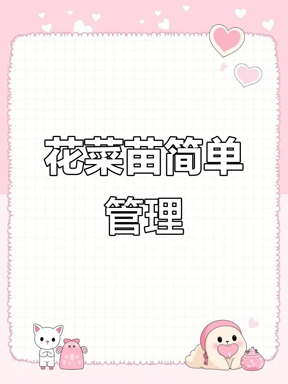 蔬菜苗种植技巧:花菜、甘蓝等轻松上手,根系发达更易成活