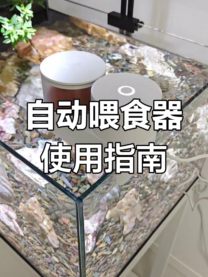 鱼缸自动喂食器开箱,远程操控超方便