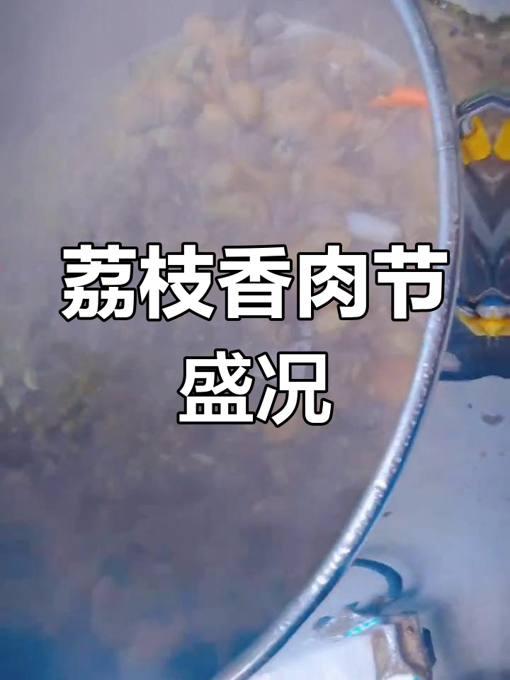 夏至荔枝香肉节,玉林全城狂欢,热闹非凡!