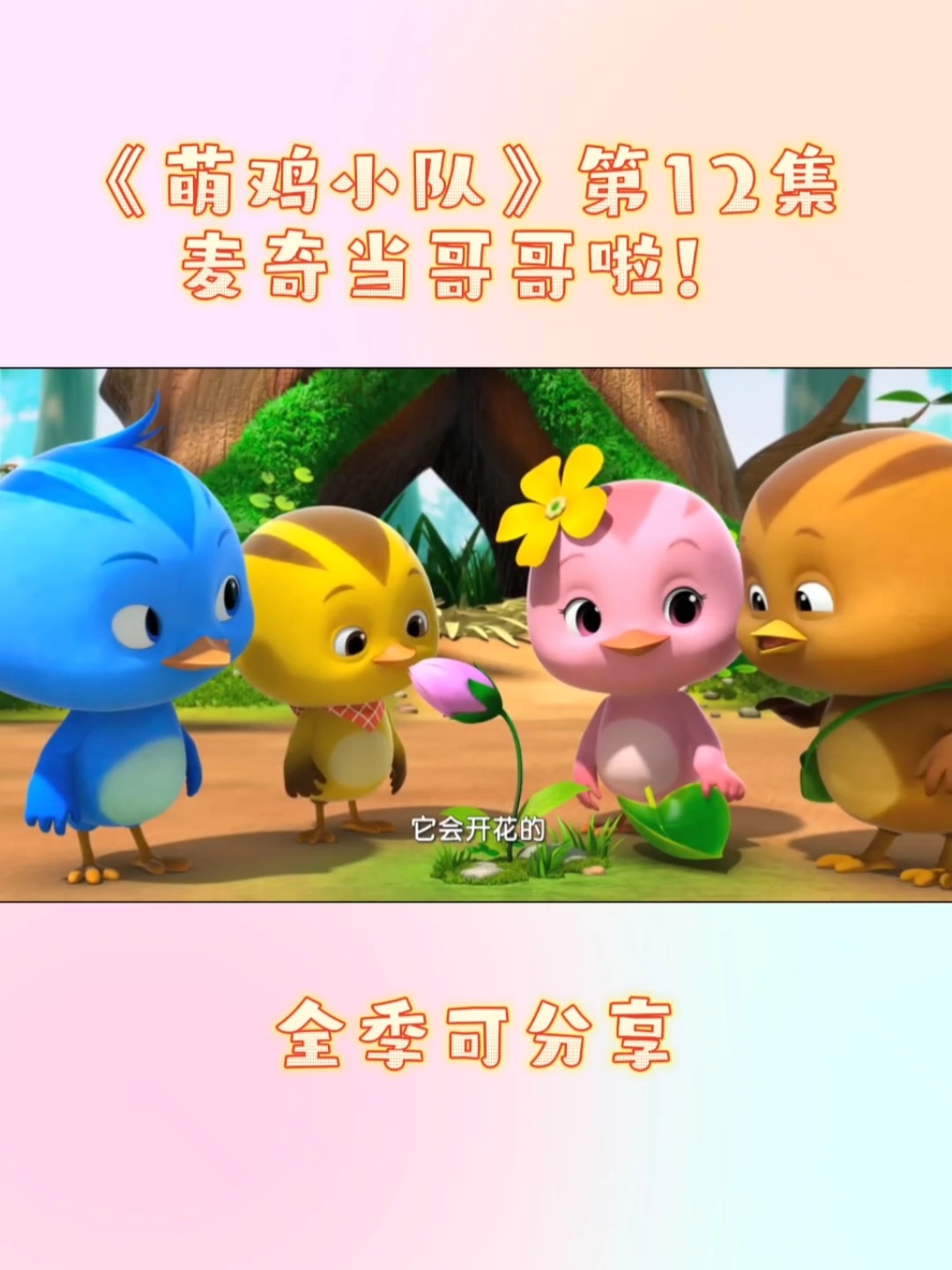 社交启蒙动画《萌鸡小队》第12集