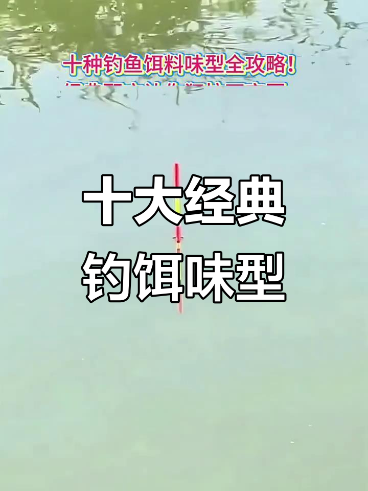 十种钓鱼饵料味型全解析，春夏秋冬都能用