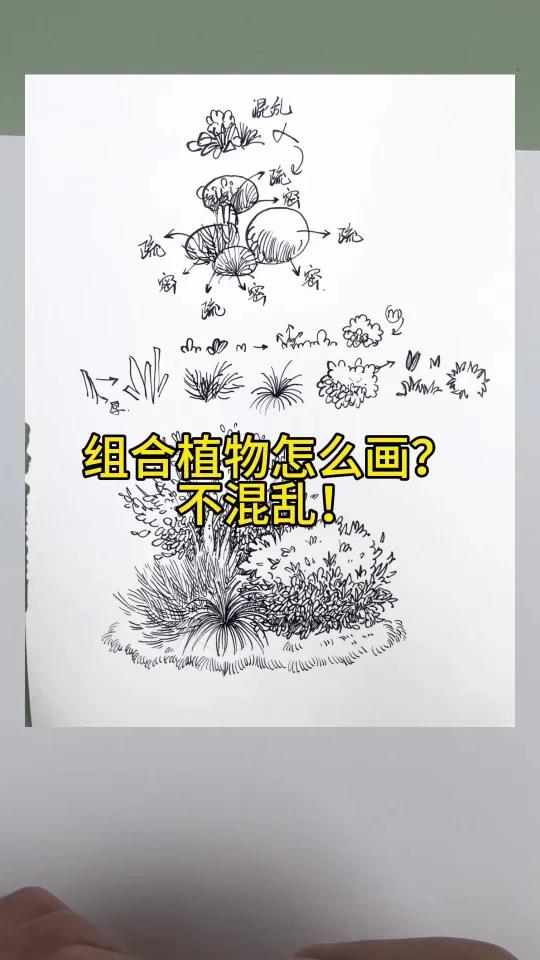 混合植物怎么画?不混乱!