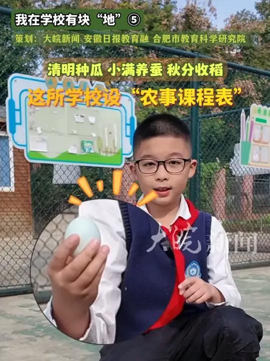 清明种瓜 小满养蚕 秋分收稻,肥西这所学校有“农事课程表”  “这是我吃到的最美味的长寿面