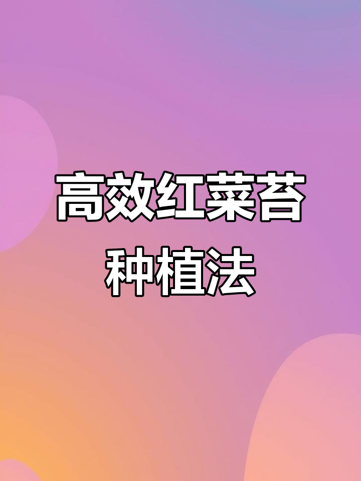 红菜苔种植技巧:从育苗到成活全攻略