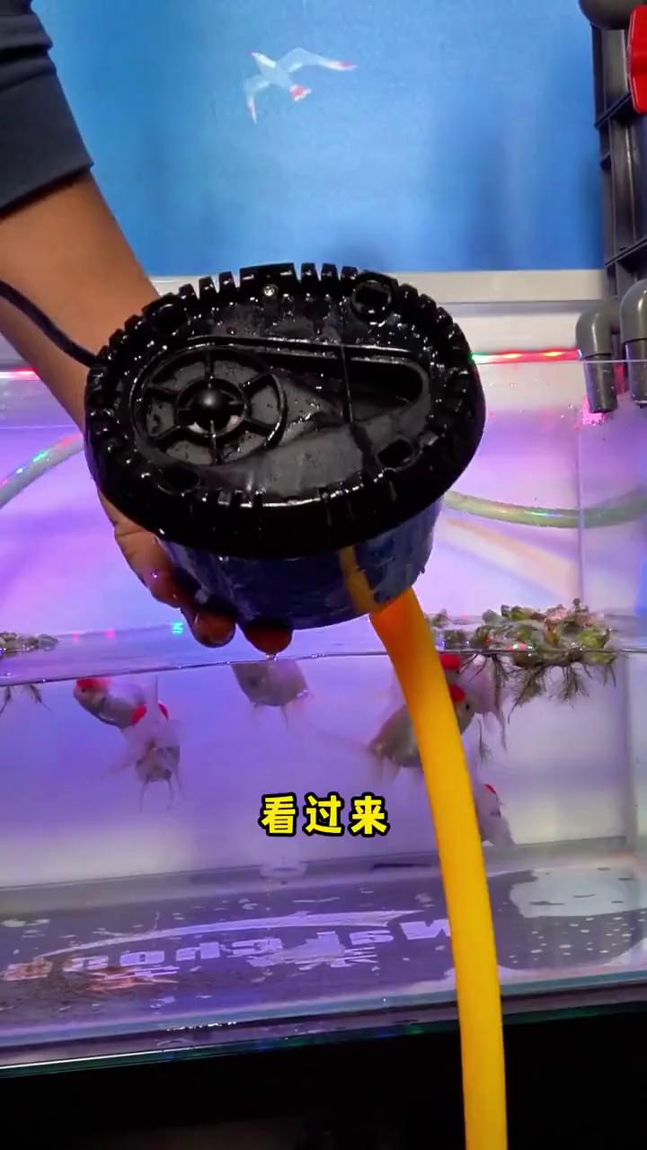 鱼缸潜水泵,循环活水新选择