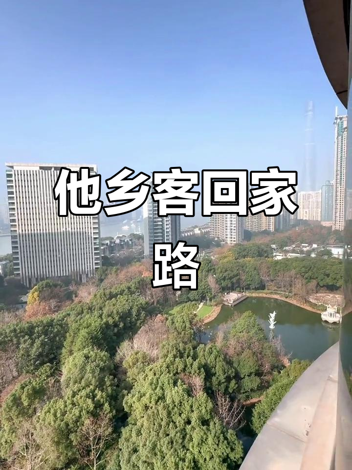 打工漂泊,何时才是归宿?上海天鹅湖畔的异乡生活