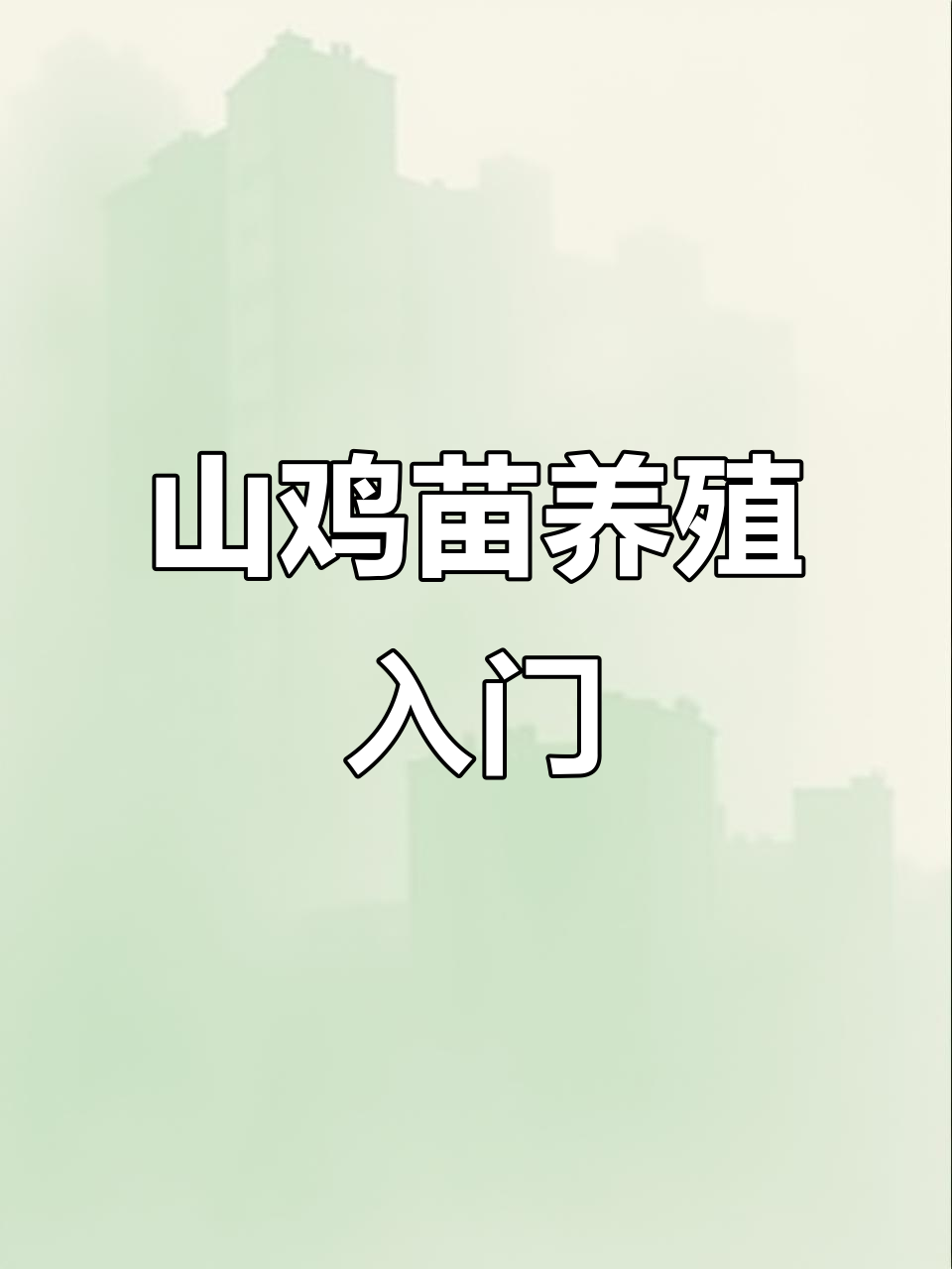 七彩山鸡苗养殖技巧：保温、喂水、开口料全攻略