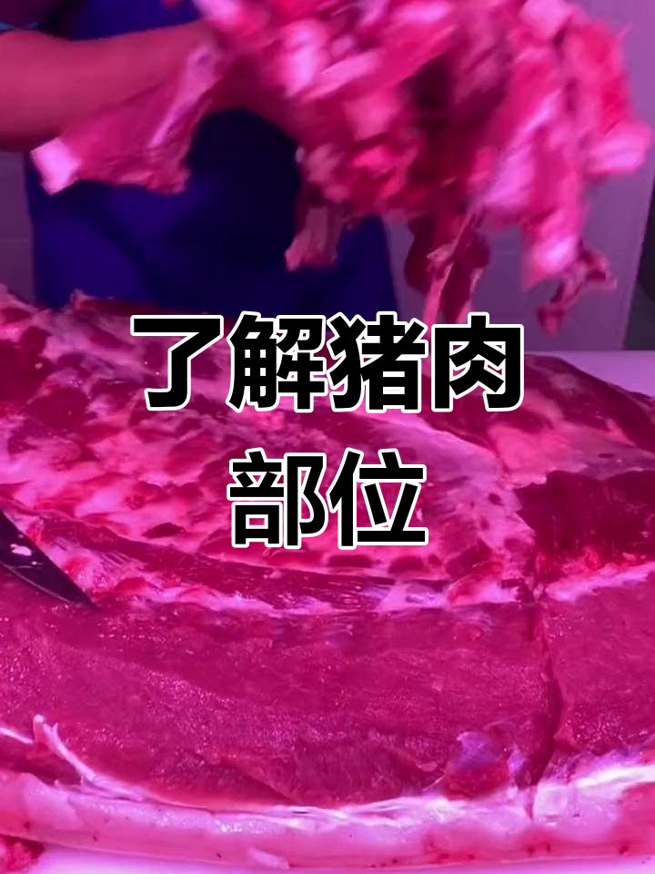 猪肉分割全解析,教你做美味佳肴