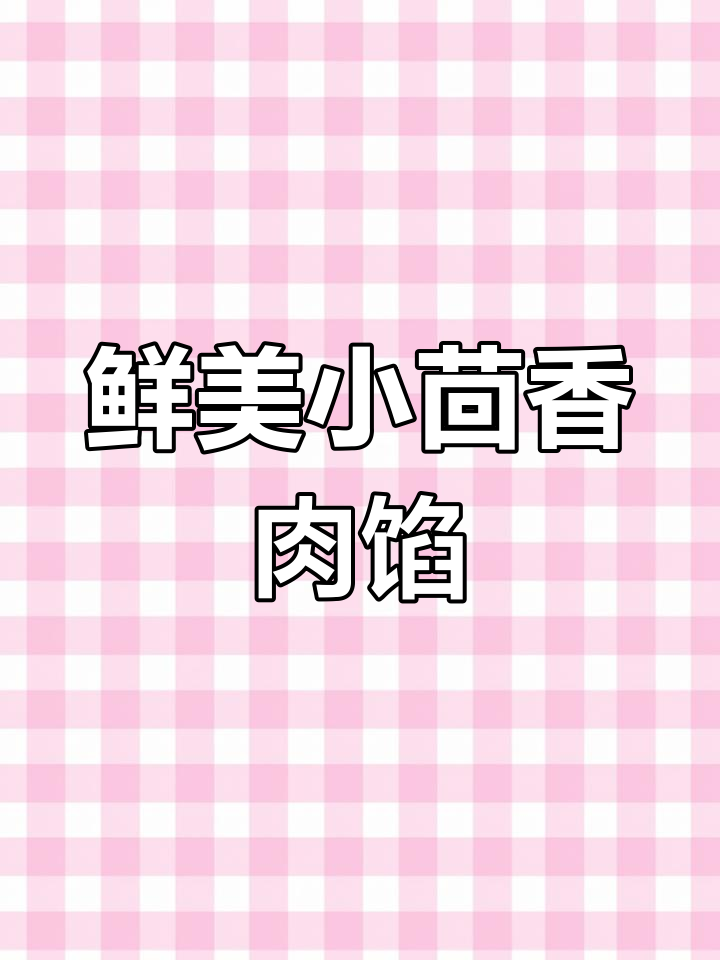 小茴香猪肉馅,鲜嫩多汁,简单又美味!