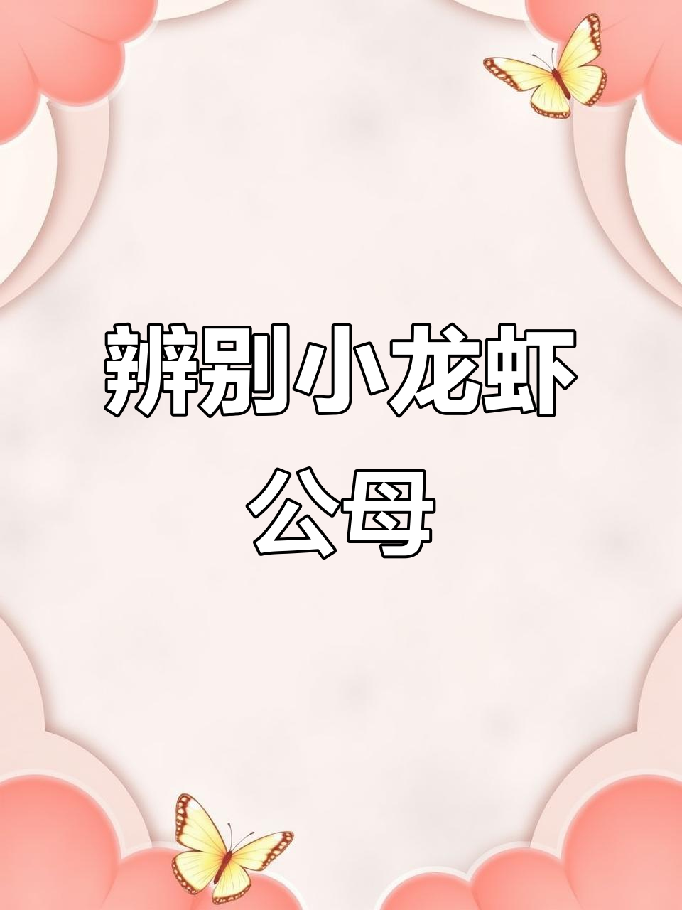 小龙虾公母分辨技巧,轻松掌握!