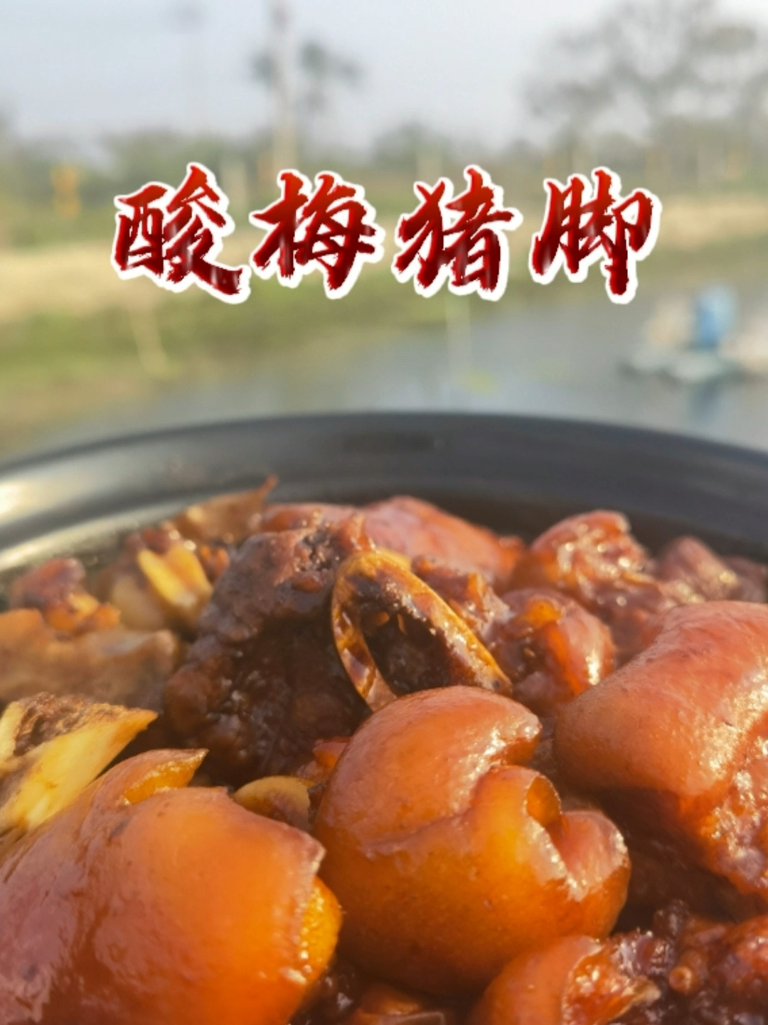 酸梅猪脚