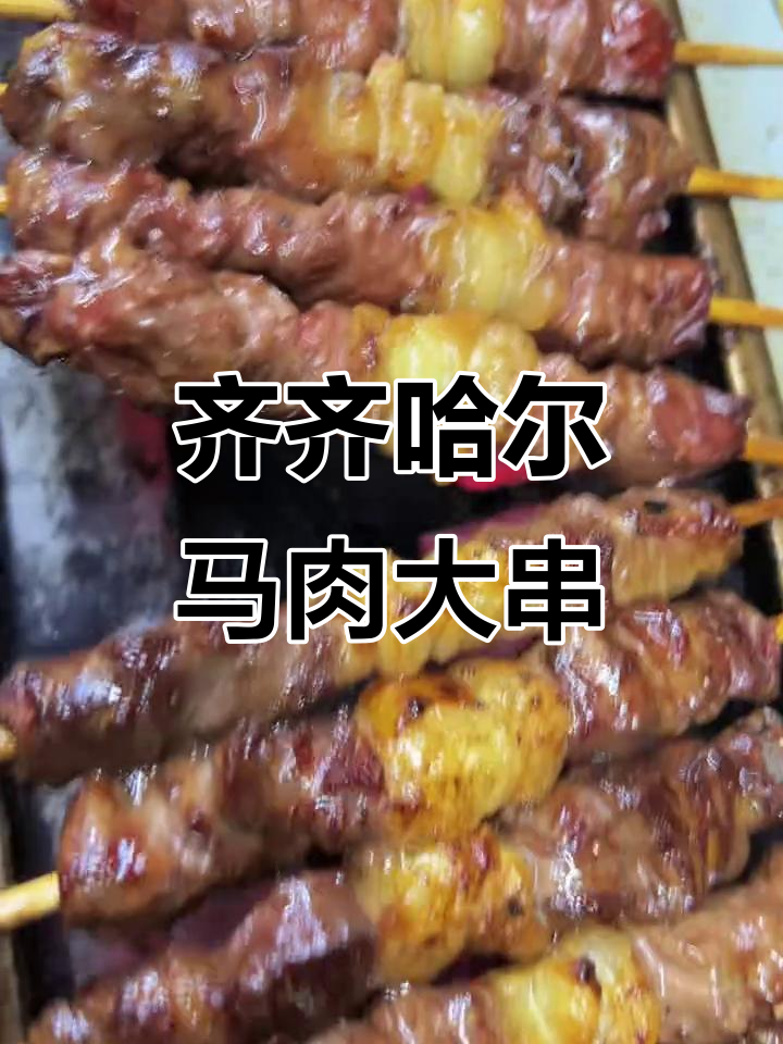 龙江七分熟烧烤,马肉大串麻辣鲜香,油边鸡肉肠必试