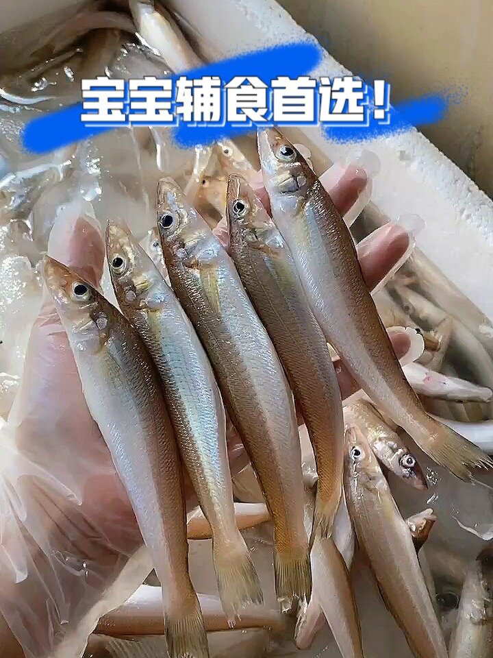 宝宝辅食首选!野生海捕沙丁鱼