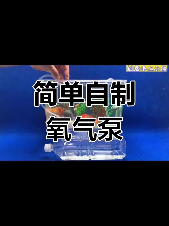用塑料瓶制作简易鱼缸增氧机