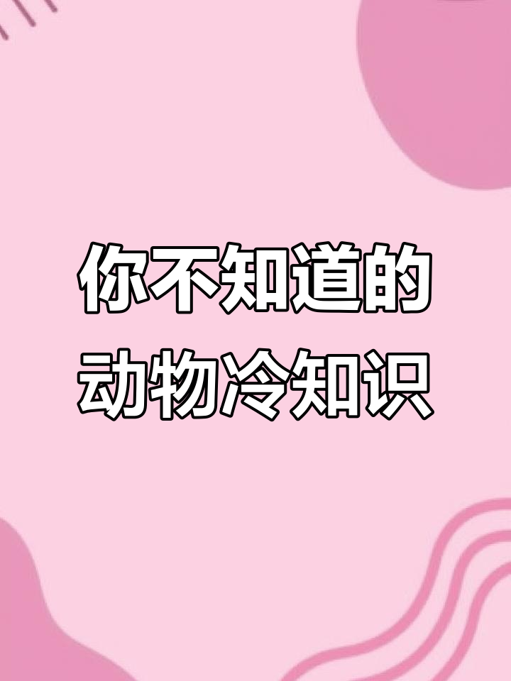 鲨鱼爱咬人？兔子生死一瞬，冰岛无蚊子！