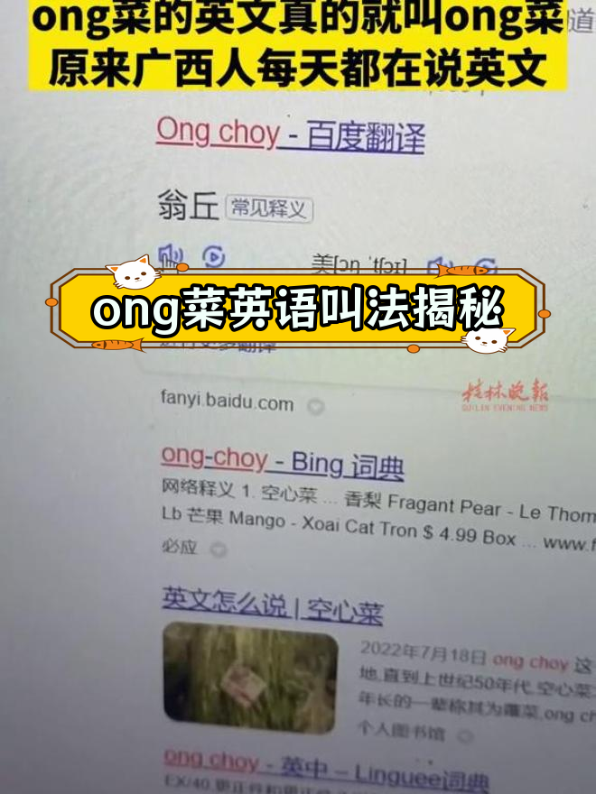 广西ong菜的英文真相