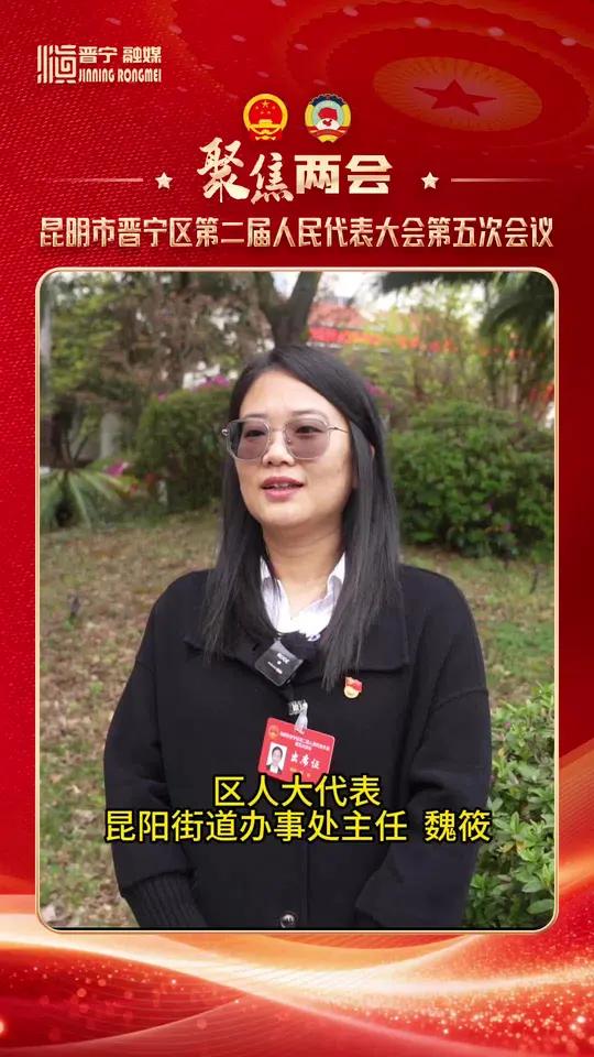 人大代表共绘发展蓝图——魏筱#人大代表
