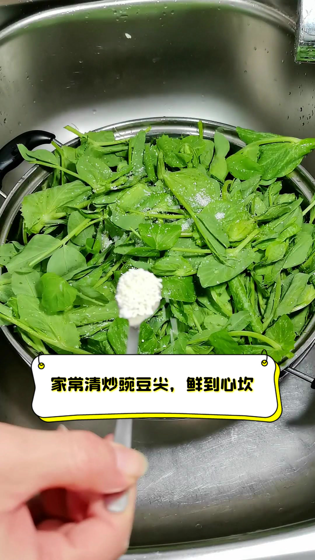 家常清炒豌豆尖，鲜到心坎
