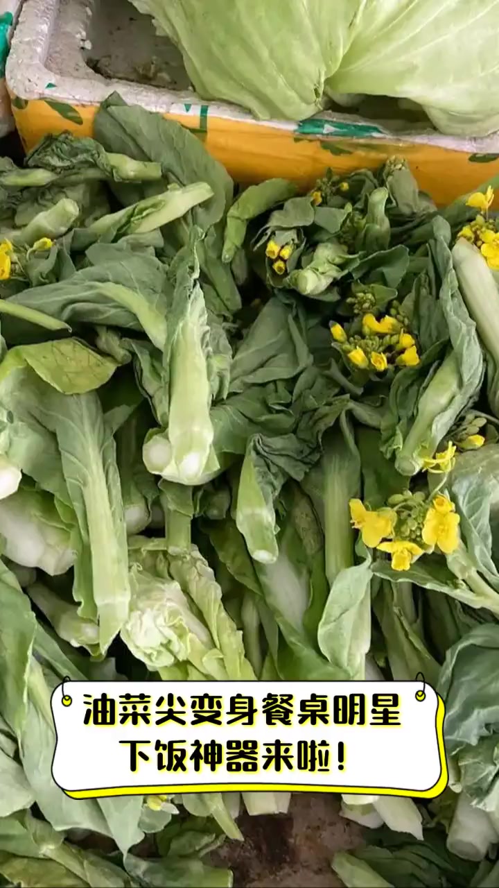 油菜尖变身餐桌明星,下饭神器来啦!