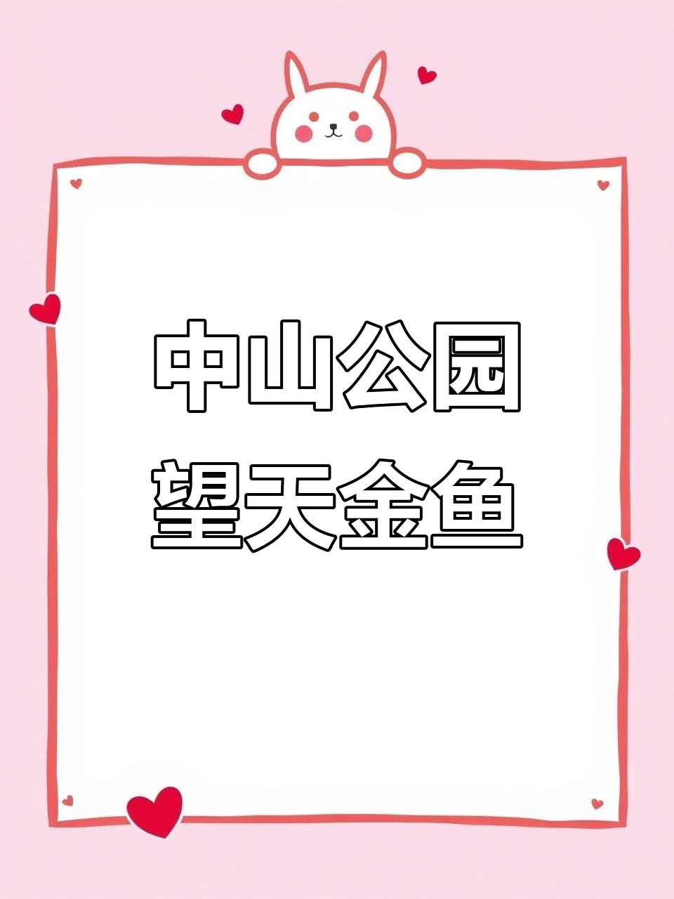 北京中山公园的望天金鱼:名贵宫廷品种揭秘