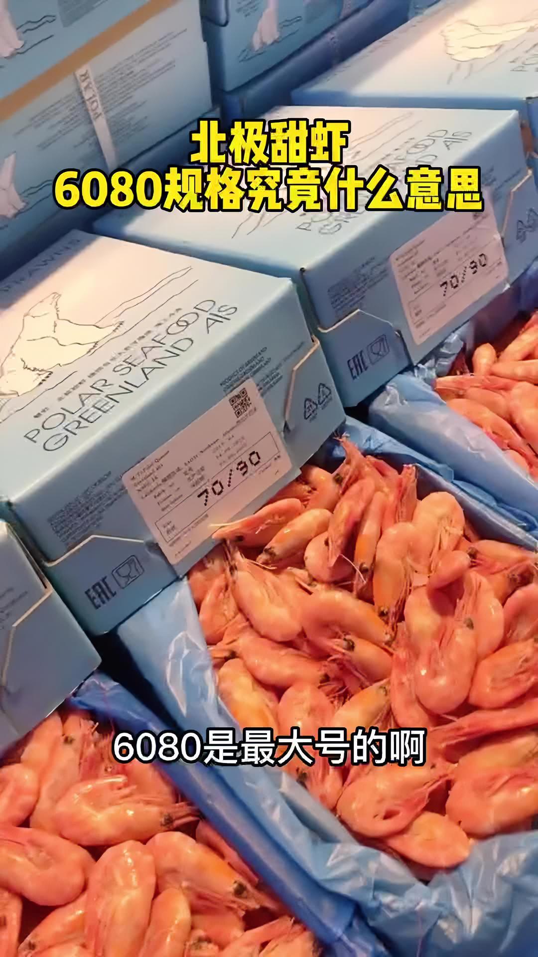鲅鱼圈的北极甜虾,北极冰虾规格7090,80100究竟什么意思 北极甜虾 北极熊冰虾 冰虾