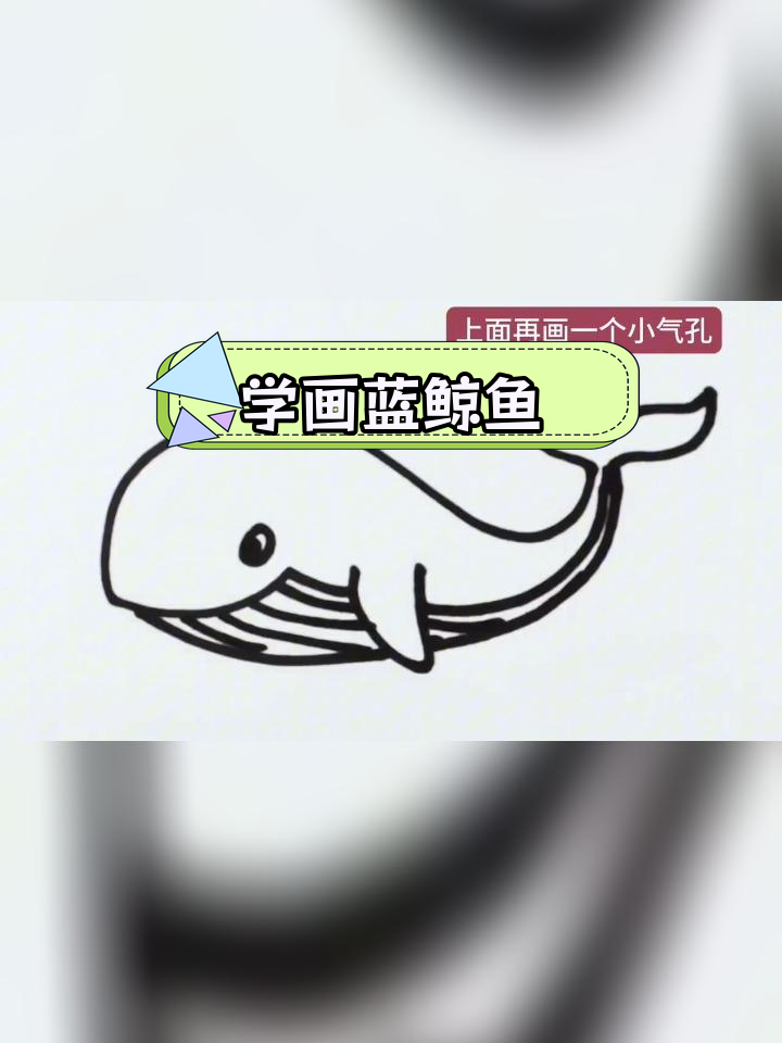 蓝鲸鱼简笔画教程,轻松学会画可爱海洋生物