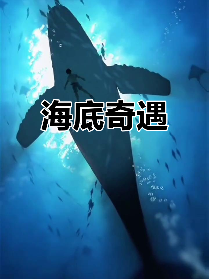 鲸鱼与少年共舞海底，动态壁纸带你探索奇幻之旅！