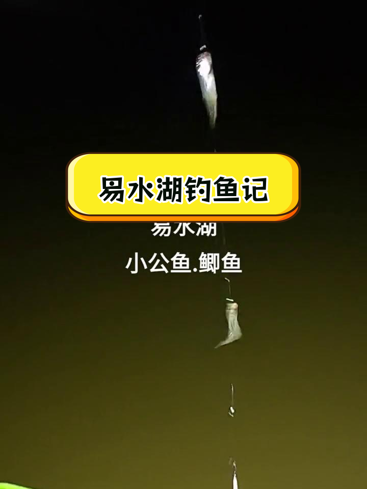 易水湖夜钓,收获小公鱼、鲫鱼和螃蟹